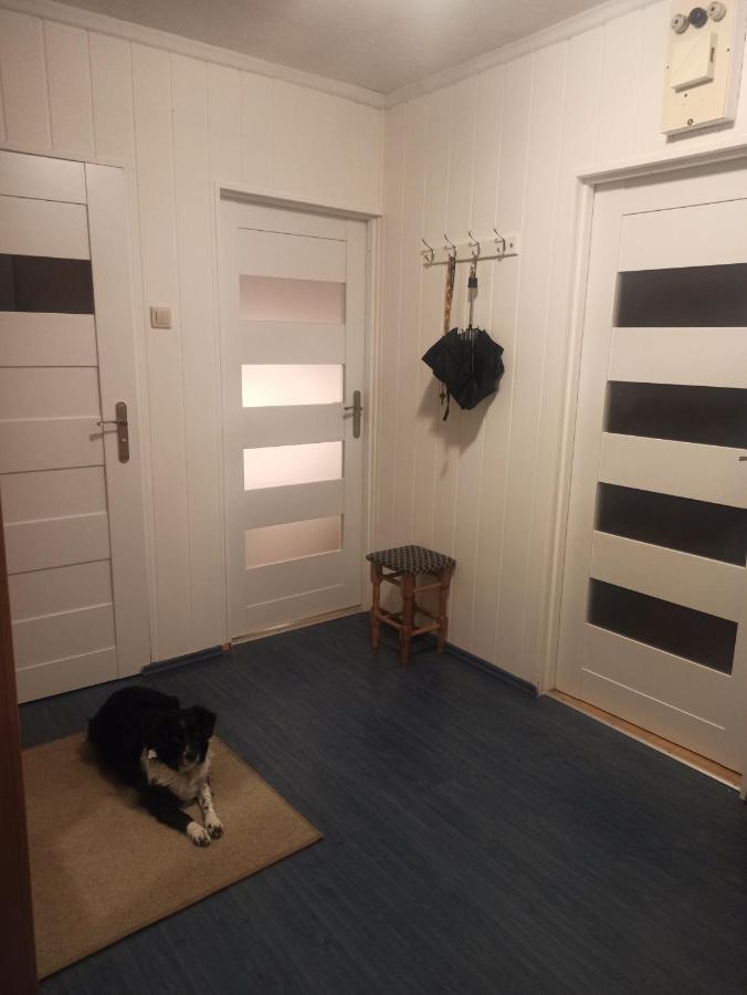 Apartament Za Rogiem Papierni Duszniki Zdrój Exterior foto